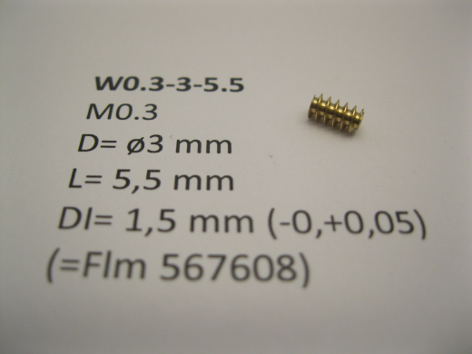 Worm Wheel W0.3-3-5.5