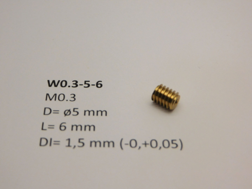Schnecke W0.3-5-6