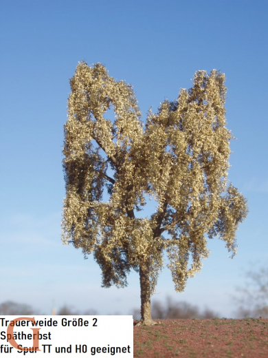 Trauerweide Spätherbst