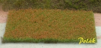 Flowering Meadow Red