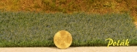 Blumenwiese blau