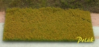 Flowering Meadow Orange
