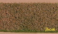 Blumenwiese rot-weiß
