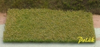 Flowering Meadow White-Orange