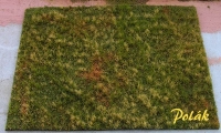Meadow, Unkempt, Variant G