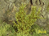 Tall Shrubs, Medium, Aspen Green