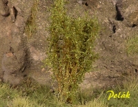 Tall Shrubs, Finest, Mixed Green