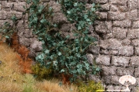 Ivy Summer (All Seasons) 1 : 87