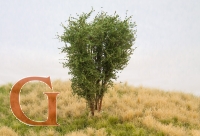 Laubbaum, 10 cm, savannengrün