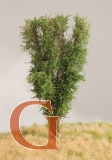 Laubbaum, 13 cm, birkengrün