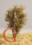 Laubbaum, 10 cm, Herbstlaub, Variante 2