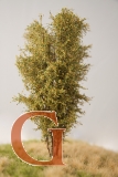 Laubbaum, 13 cm, Herbstlaub, Variante 1