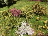 Sträucher-Sortiment Großspur Frühling