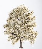 Pommier de printemps