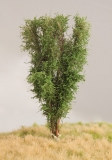 Deciduous Tree, 13 cm, Birch Green