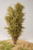 Deciduous Tree, 13 cm, Autumn Foliage, Variant 1