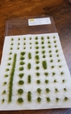 Grass Tufts, Height 6 mm, Mixed Green (Variant E)