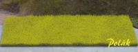 Blooming Rapeseed Field, XL