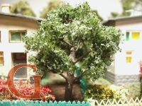 Pflaumenbaum Sommer