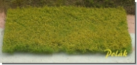 Flowering Meadow Yellow