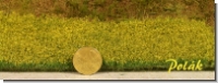 Blumenwiese gelb