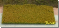 Flowering Meadow Orange