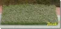 Blumenwiese weiß