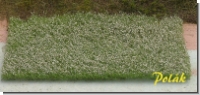 Flowering Meadow White