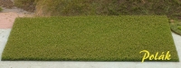Lucerne Field