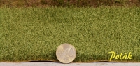 Poppy Field with Capsules