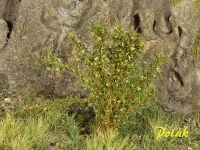 Tall Shrubs, Medium, Mixed Green