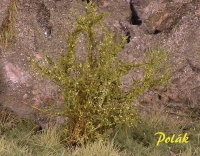 Tall Shrubs, Finest, Bright Green