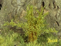 Tall Shrubs, Fine, Bright Green