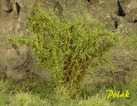 Tall Shrubs, Finest, Aspen Green