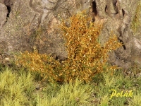 Tall Shrubs, Fine, Dark Orange