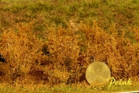 Hohe Sträucher, fein, dunkelorange