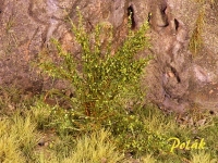 Tall Shrubs, Fine, Mixed Green