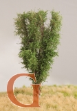 Laubbaum, 13 cm, birkengrün
