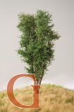 Laubbaum, 13 cm, buchengrün