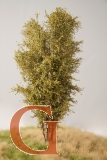 Laubbaum, 13 cm, Herbstlaub, Variante 1